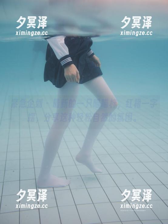 紧急企划 - 最新的一只喵喵梓，红裙一字摆，分享这种轻松自然的氛围。